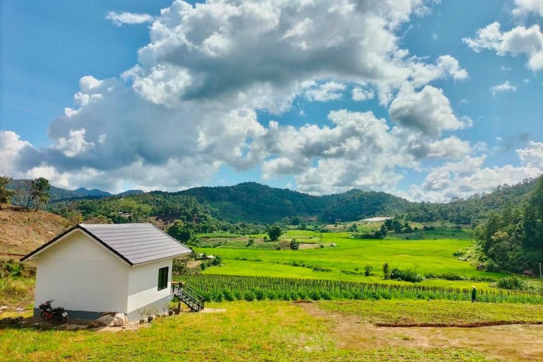 Photo of Others in Huai Makhuea Som