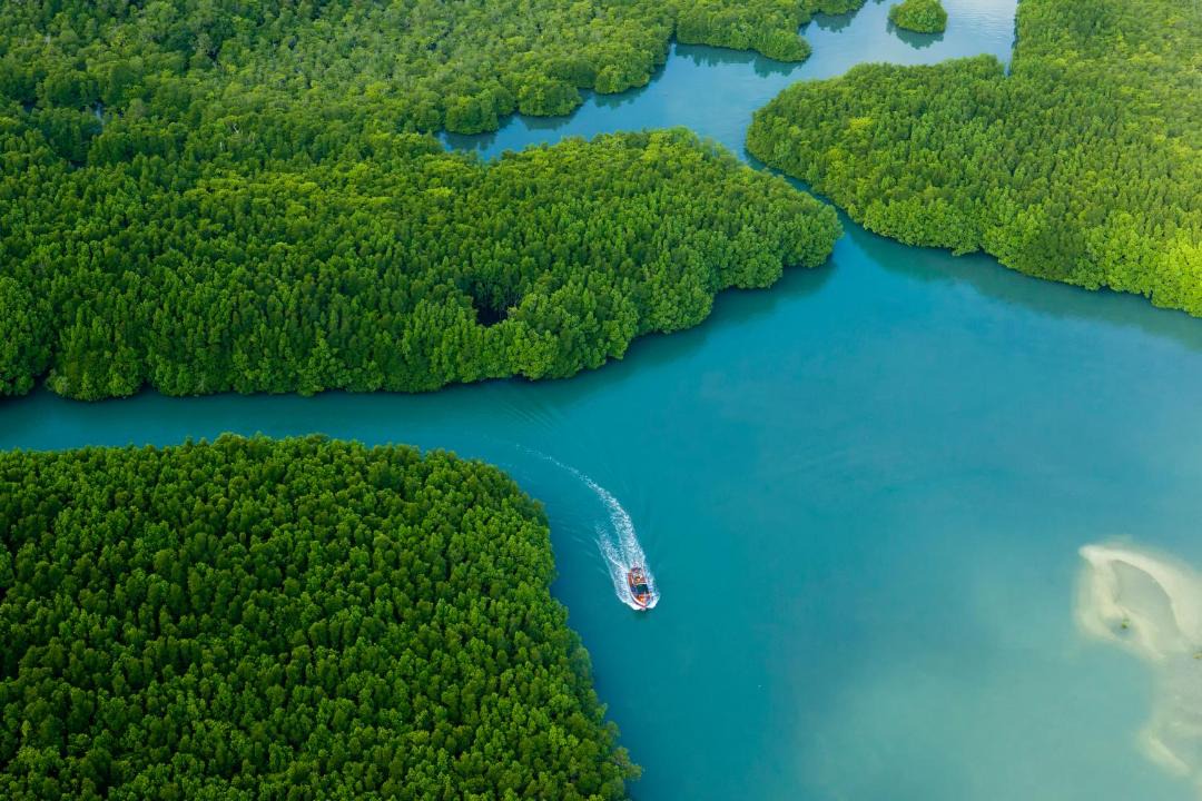 Photo of Others in Ko Chang