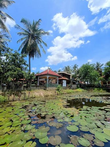 Photo of Others in Angk Ta Saom
