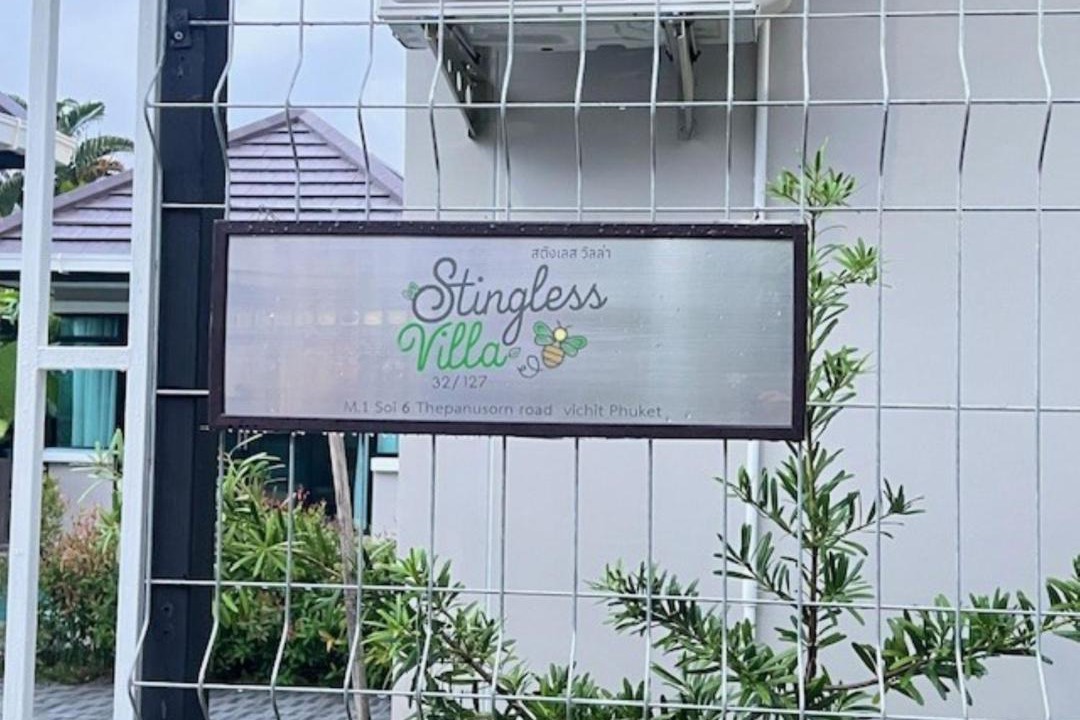 Photo of Others in Phuket