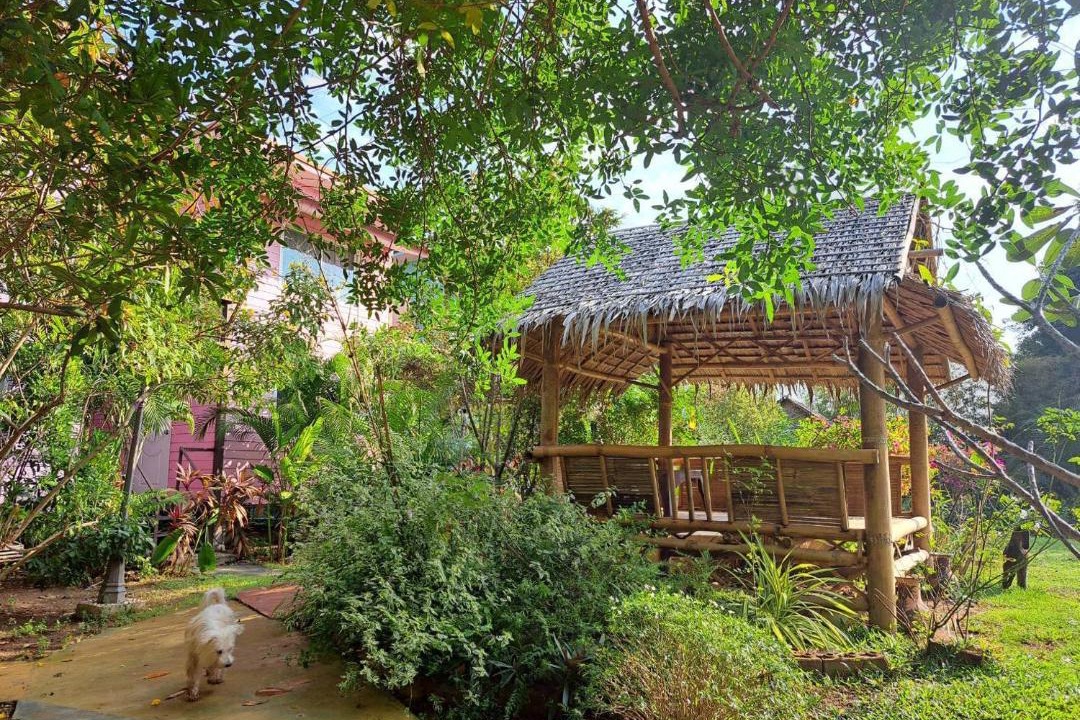 Photo of Others in Khlong Luang