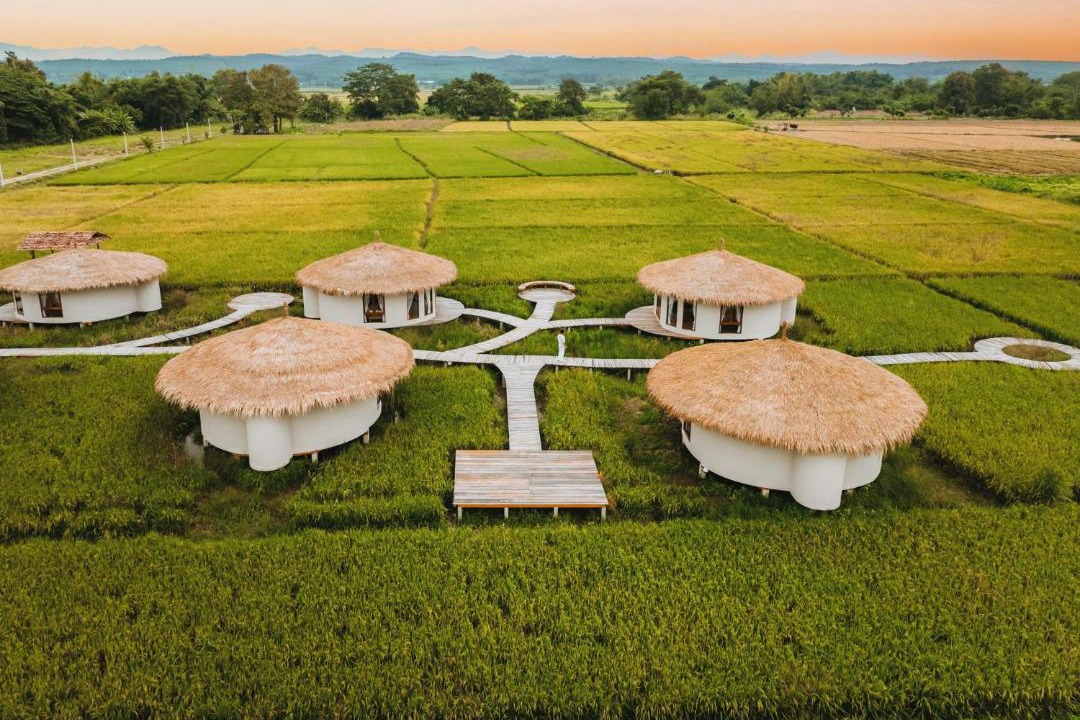 Photo of Others in Wiang Pa Pao
