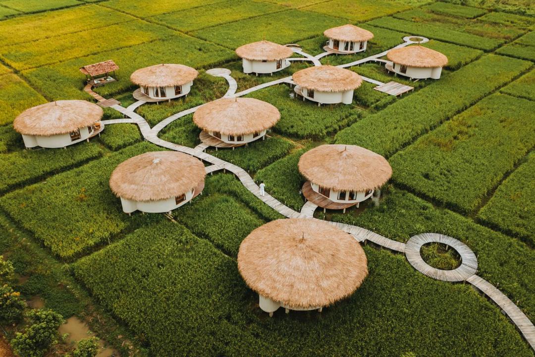 Photo of Others in Wiang Pa Pao