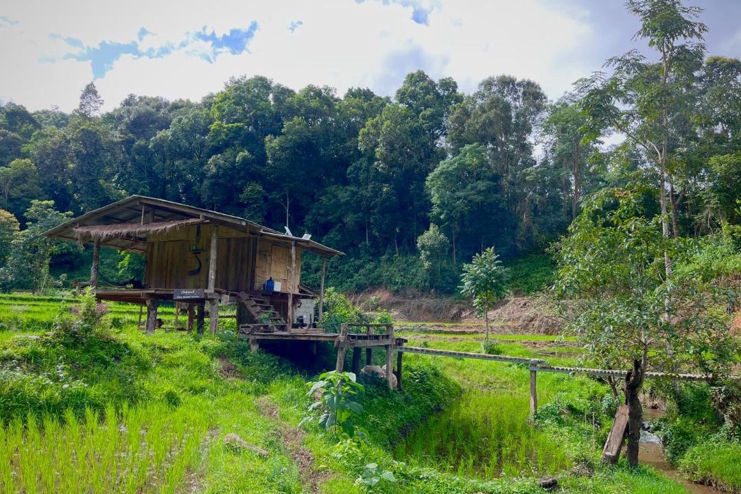 Photo of Others in Samoeng