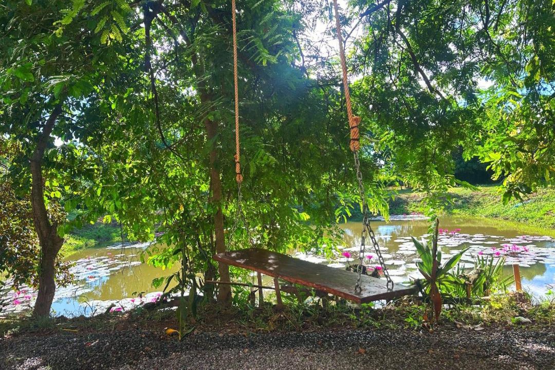 Photo of Others in Svay Pao