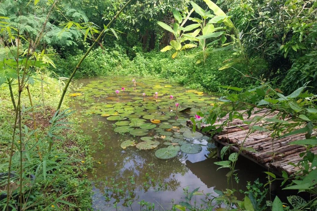Photo of Others in Doi Saket