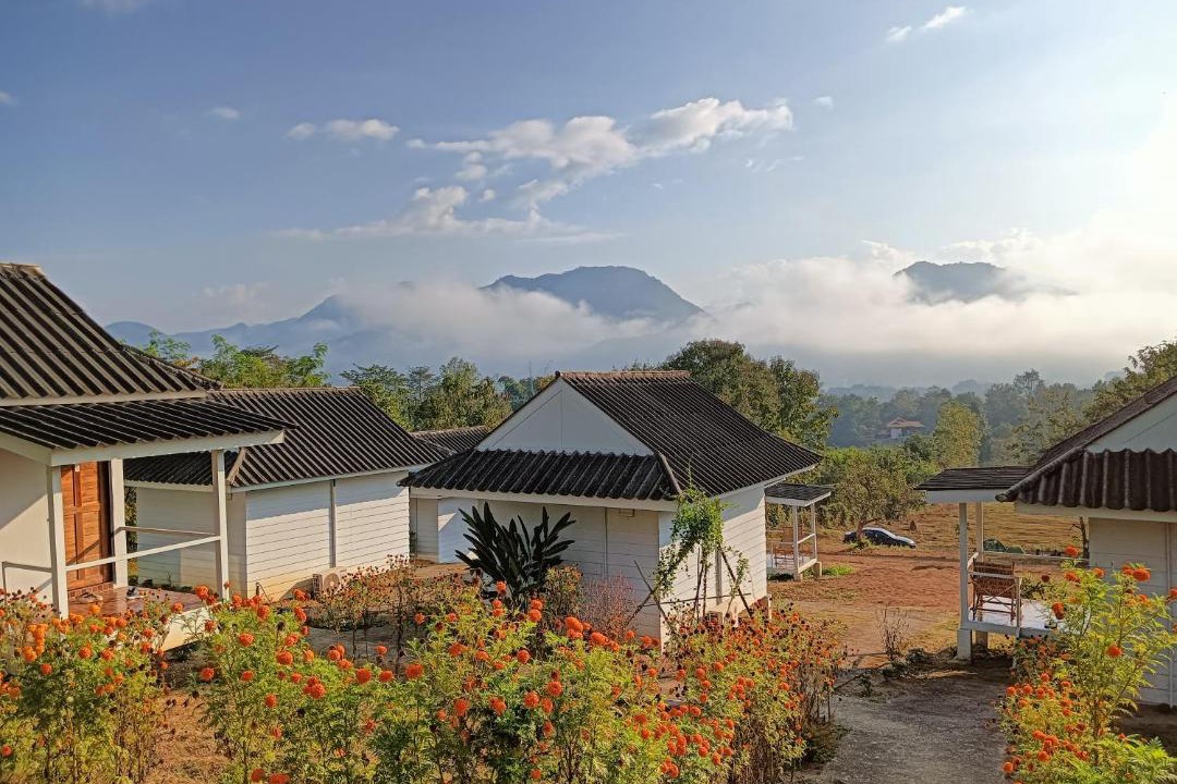 Photo of Others in Pai