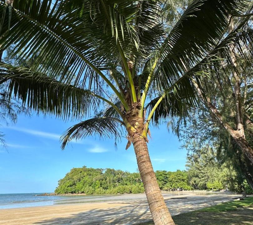 Photo of Others in Ko Lanta