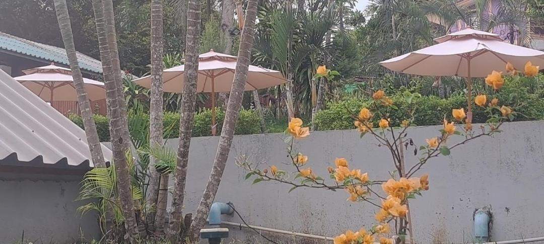 Photo of Others in Ko Lanta