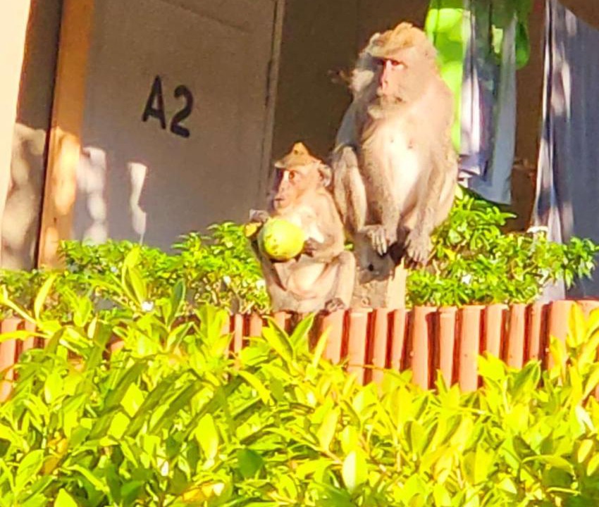 Photo of Others in Ko Lanta