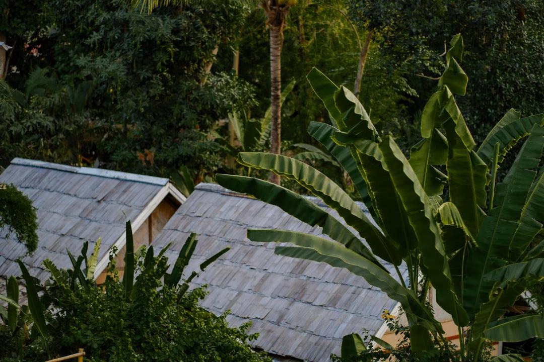 Photo of Others in Luang Prabang