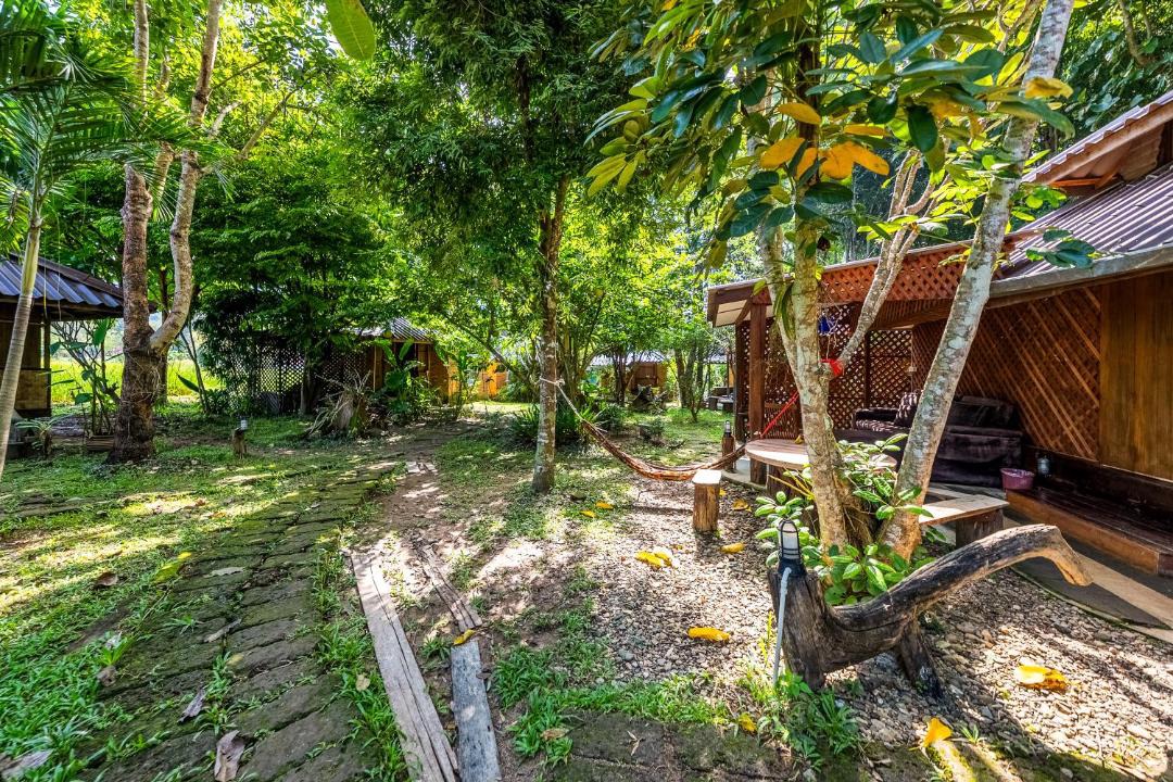 Photo of Others in Pai
