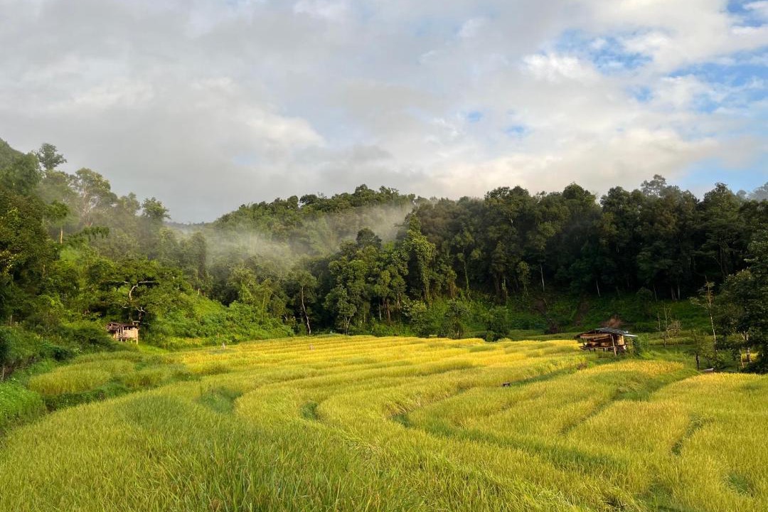Photo of Others in Samoeng
