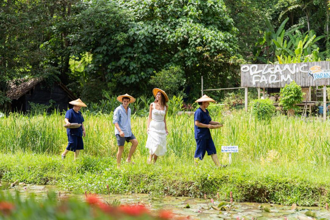 Photo of Others in Ko Yao