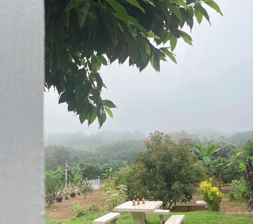 Photo of Others in Thong Pha Phum