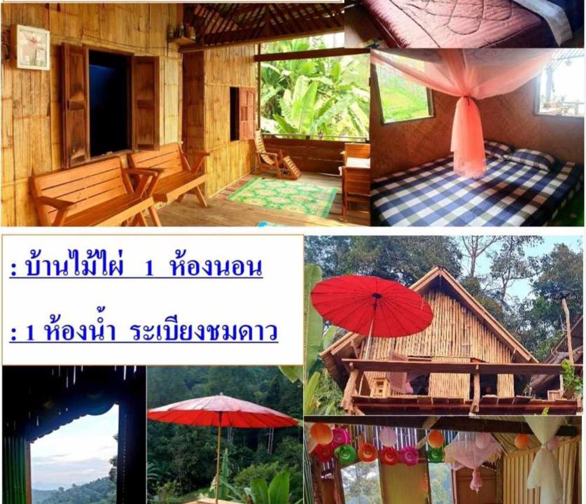 Photo of Others in Chiang Dao