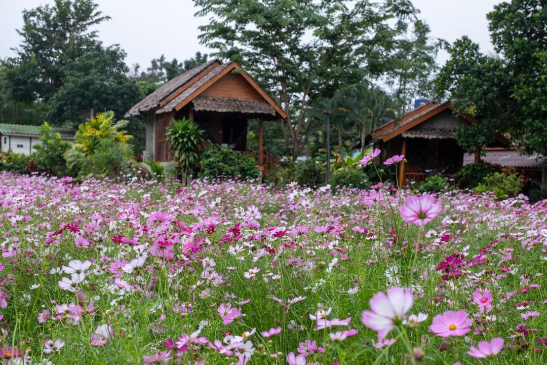 Photo of Others in Pai