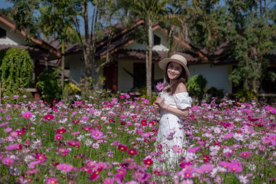Photo of Others in Pai