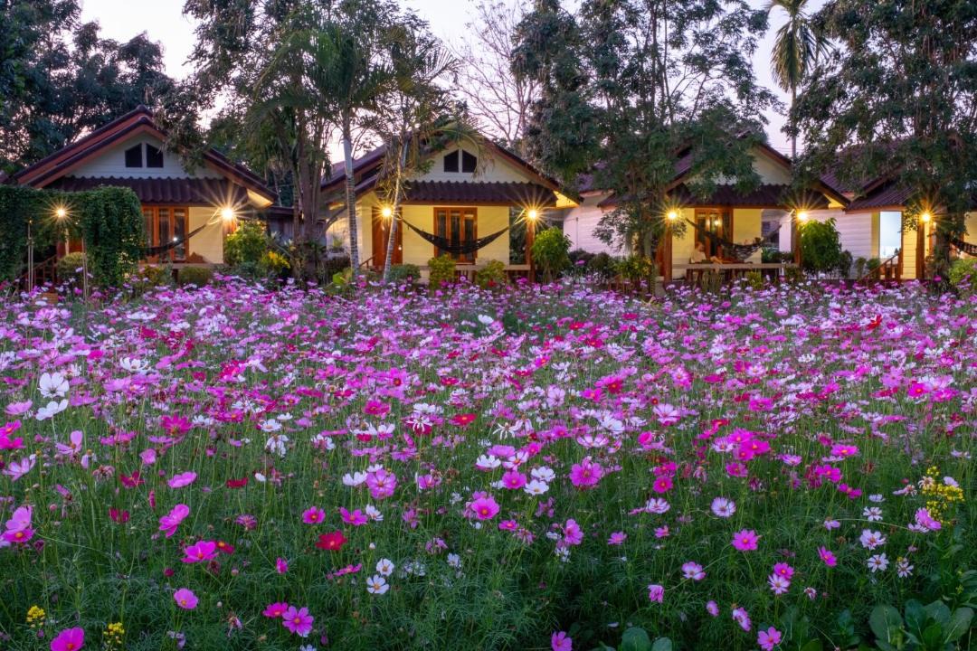 Photo of Others in Pai