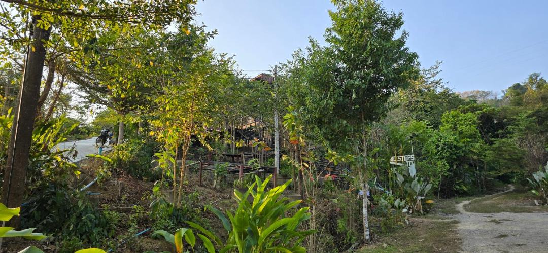 Photo of Others in Khlong Sok