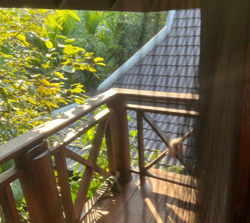 Photo of Others in Chiang Mai