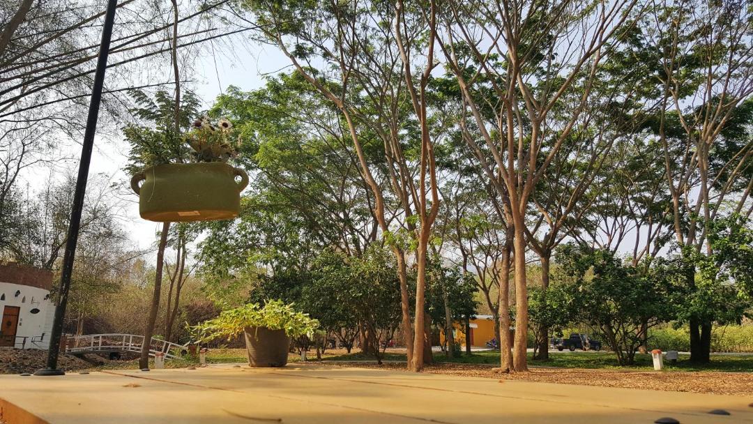 Photo of Others in Suan Phueng