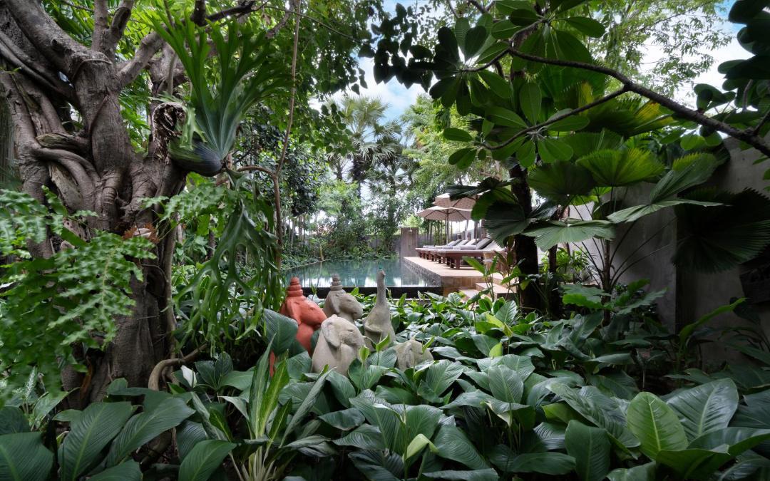 Photo of Others in Siem Reap
