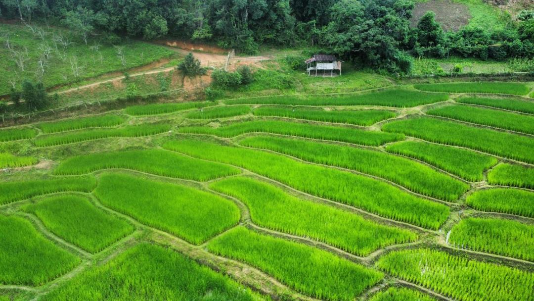Photo of Others in Samoeng