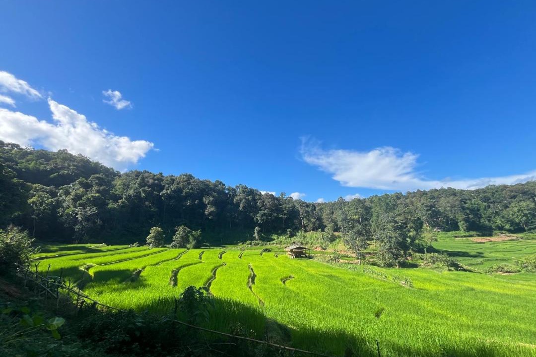 Photo of Others in Samoeng