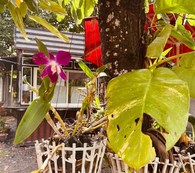 Photo of Others in Kampot