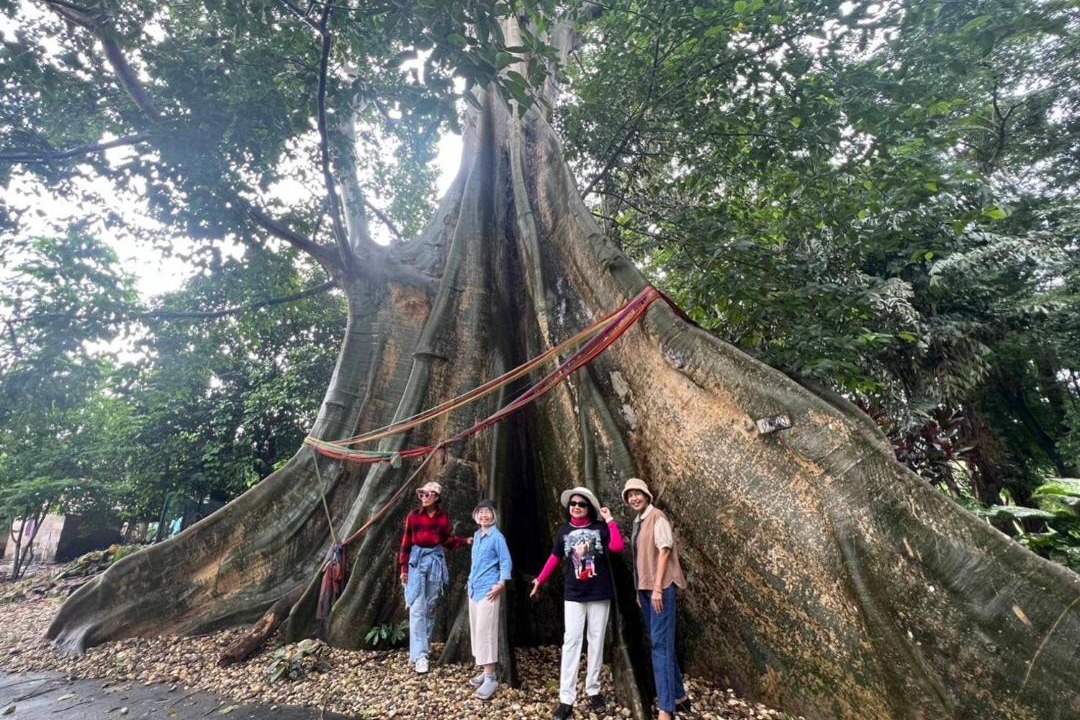 Photo of Others in Wiang Sa