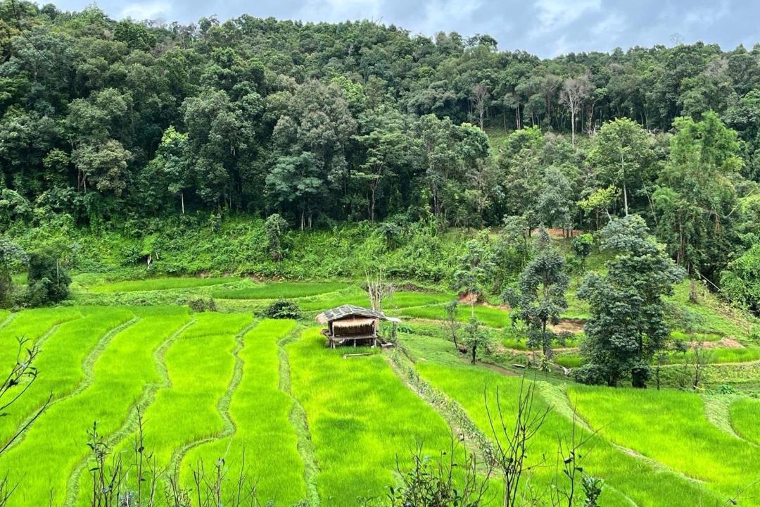 Photo of Others in Samoeng