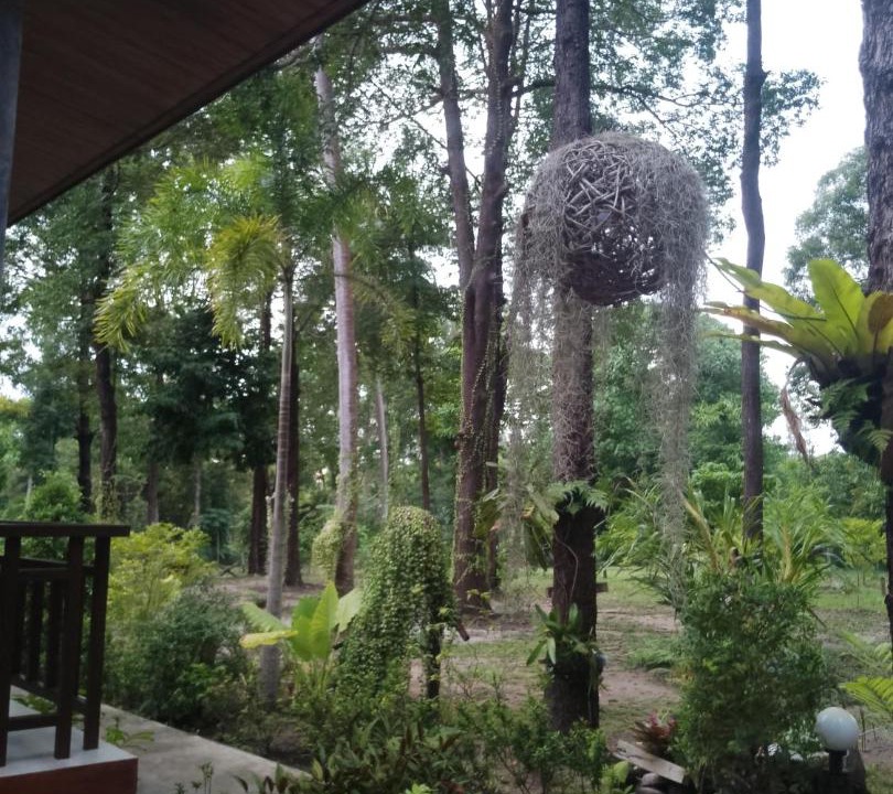 Photo of Others in Ko Lanta