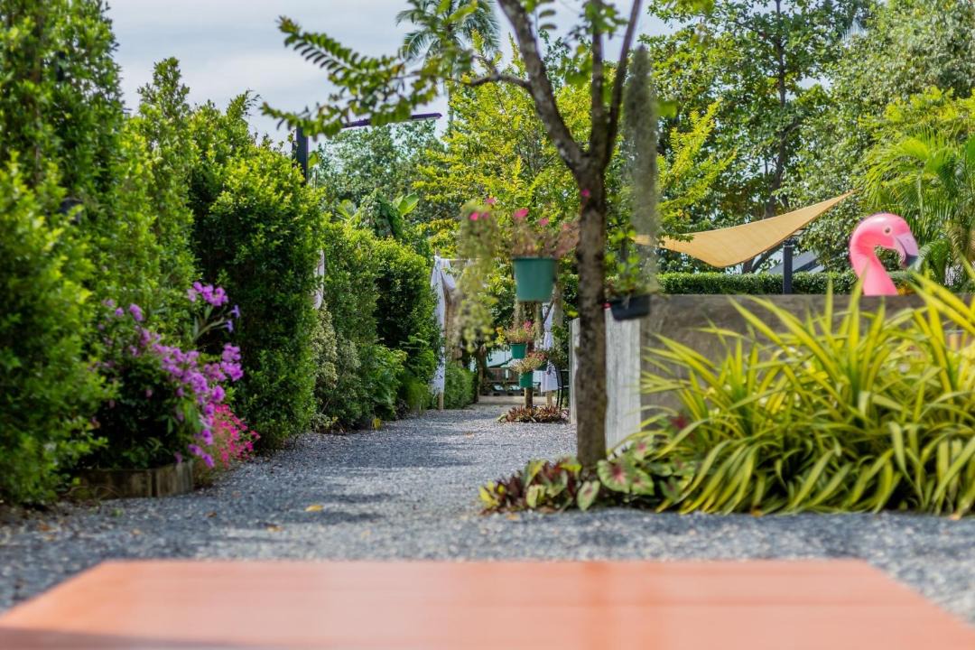 Photo of Outdoor in Sai Thai