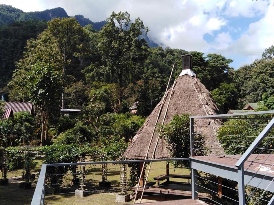 Photo of Others in Chiang Dao