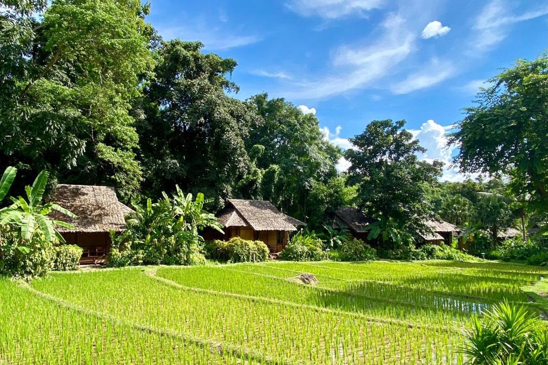 Photo of Others in Mae Hong Son