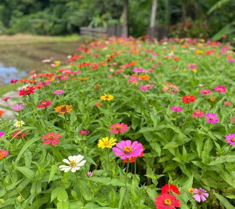 Photo of Outdoor in Mae Hong Son