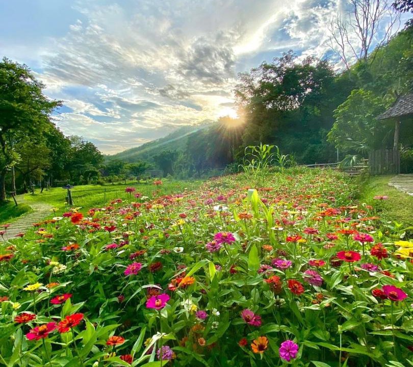 Photo of Others in Mae Hong Son
