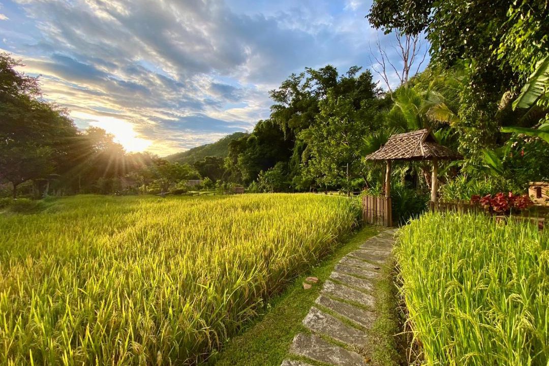 Photo of Others in Mae Hong Son
