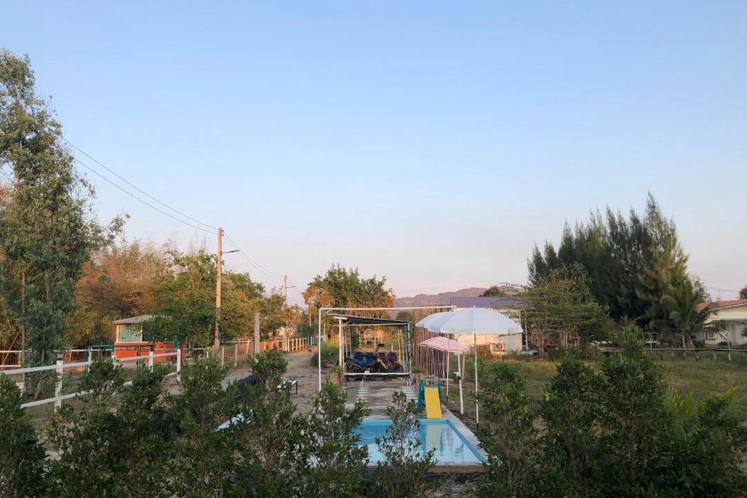 Photo of Others in Chom Bueng