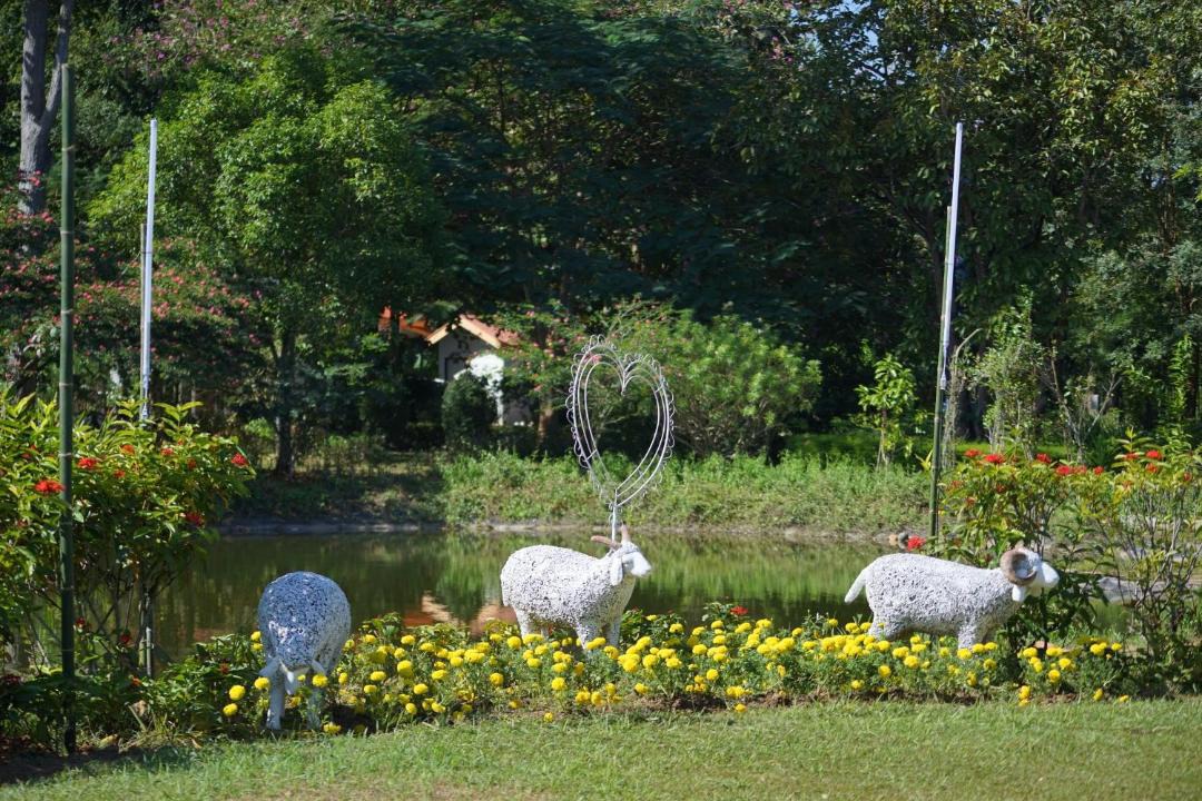 Photo of Others in San Kamphaeng