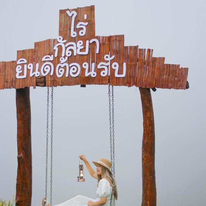 Photo of Others in Pong Yaeng