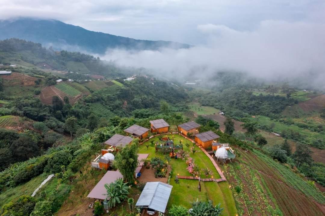 Photo of Others in Pong Yaeng
