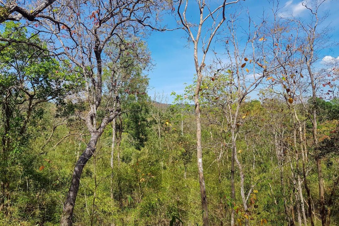 Photo of Others in Ban Lung