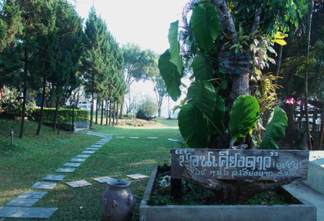 Photo of Others in Chiang Dao