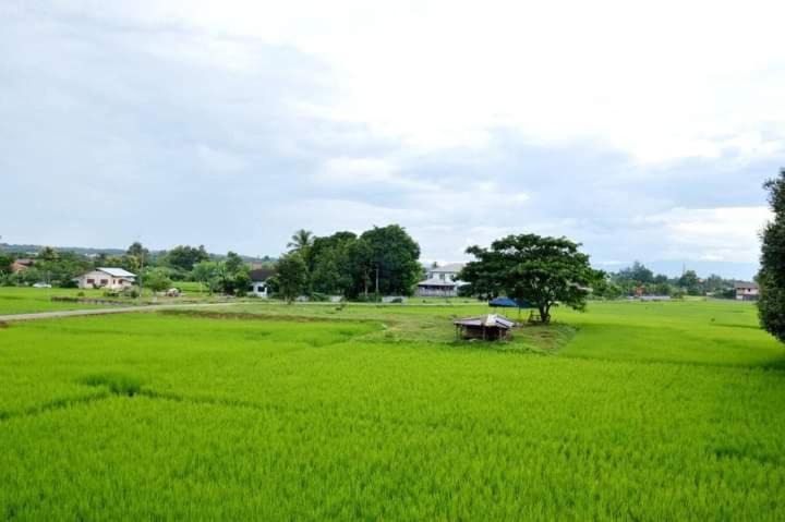 Photo of Others in Pua