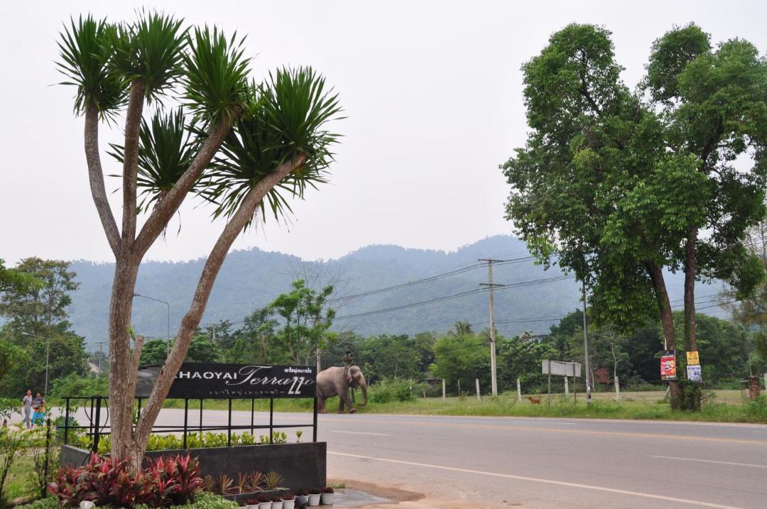 Photo of Others in Mu Si