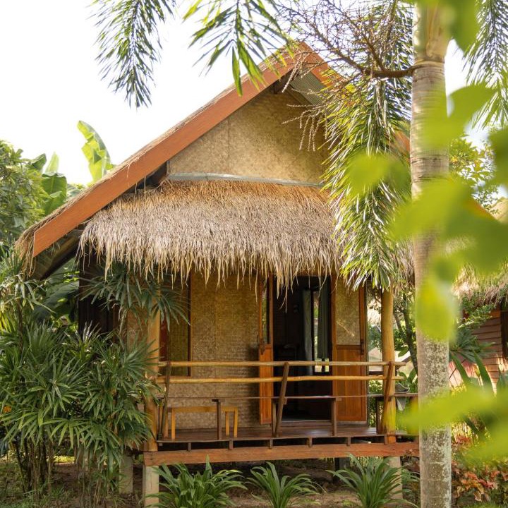 Photo of Others in Pai