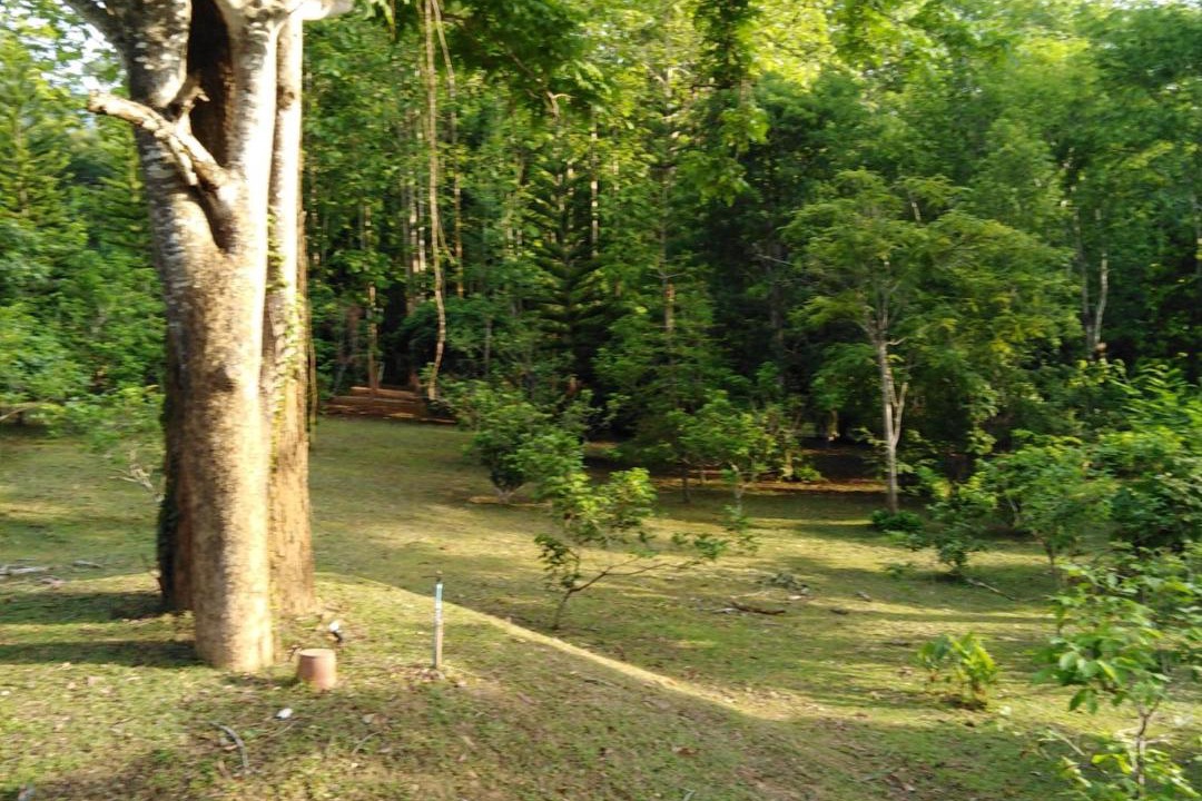 Photo of Others in Chiang Dao