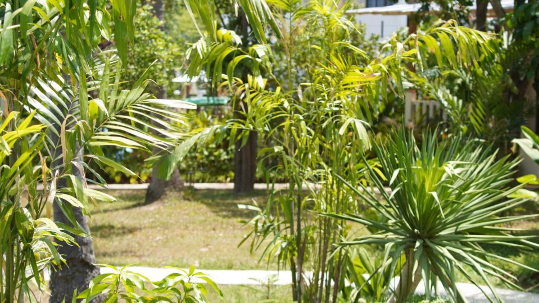 Photo of Others in Ko Lanta